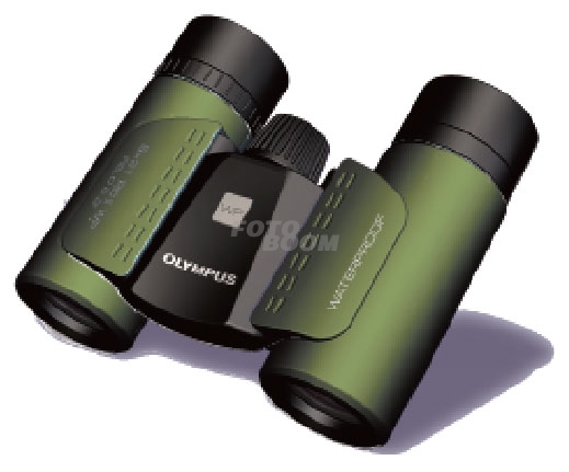 10x21 RCII WP Verde