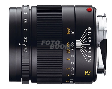 75mm f/2.5 Summarit-M Negro