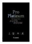 PT-101 A3+ Photo Paper Pro Platinum 10Hojas