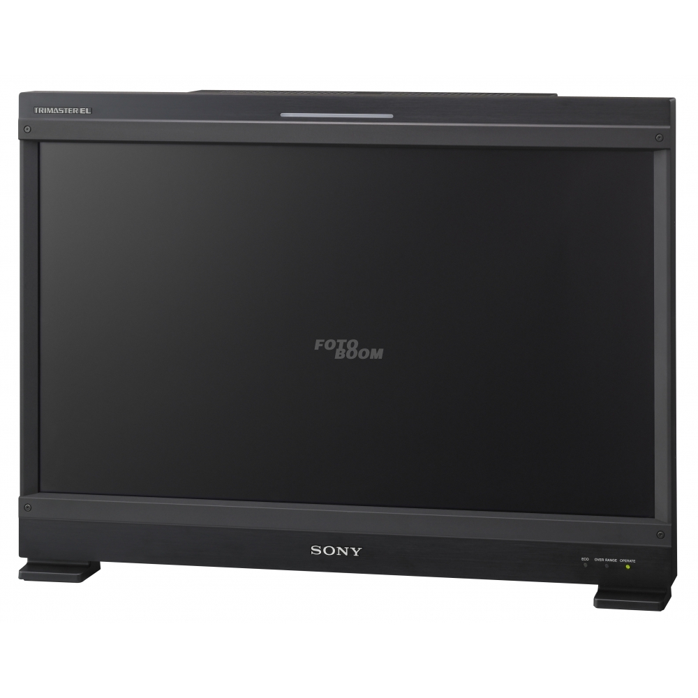 BVM-E251 Monitor