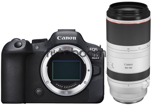 EOS R6 Mark II + 100-500mm f/4.5-7.1L RF IS USM + CANEST
