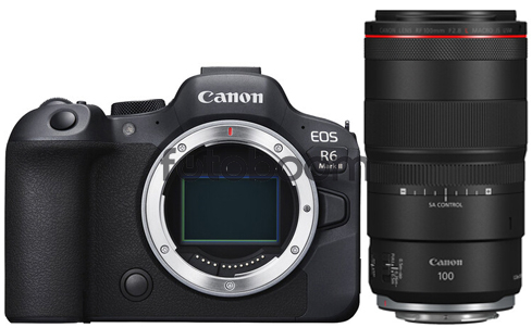 EOS R6 Mark II + 100mm f/2.8L Macro IS USM RF + CANEST