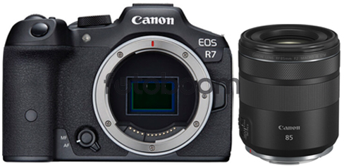 EOS R7 + 85mm f/2 Macro RF IS STM + CANEST
