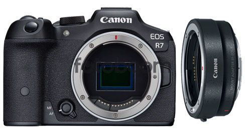 EOS R7 + Adaptador de Montura EF-EOS R + CANEST