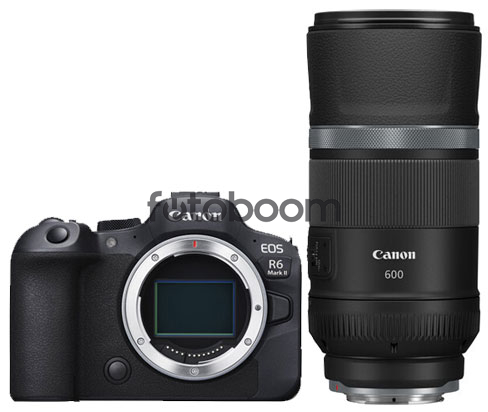 EOS R6 Mark II + 600mm f/11 IS STM RF + CANEST