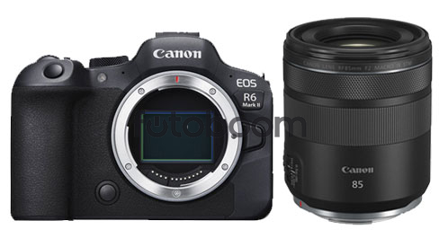 EOS R6 Mark II + 85mm f/2 Macro RF IS STM + CANEST