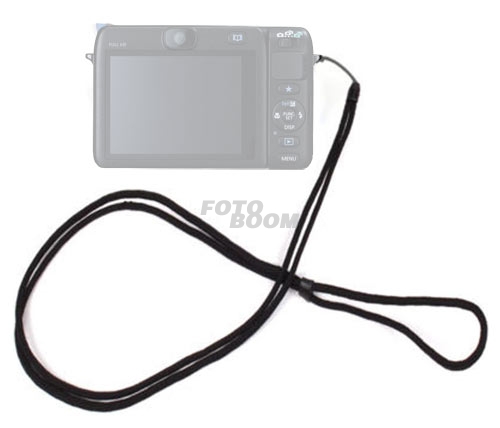 NS-100 Correa