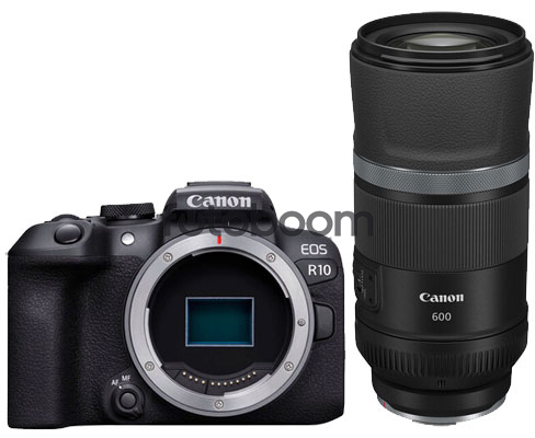 EOS R10 + 600mm f/11 RF IS STM + CANEST