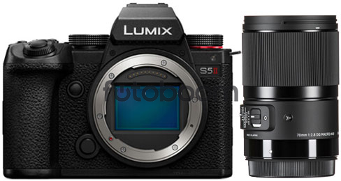 LUMIX S5M2 + 70mm f/2.8 AF DG MACRO (A) Leica L WINTER