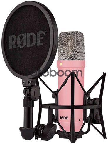 NT1 Signature Series - Rosa