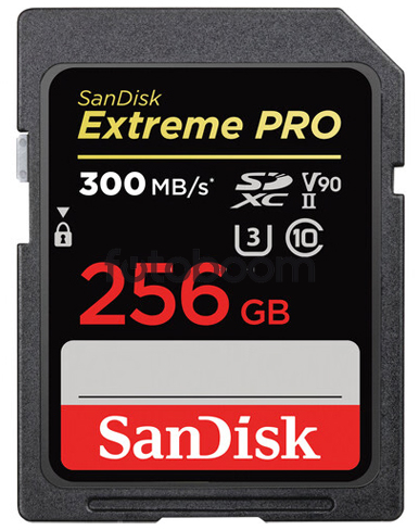 Secure Digital PRO SD UHC-II 256GB V90 300MB/s