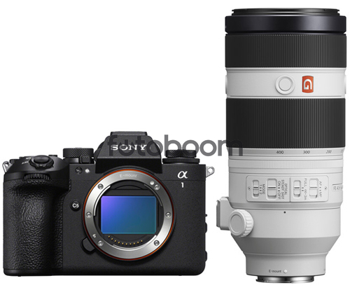 Alpha A1MII + 100-400mm f/4.5-5.6GM OSS E/FE + 100EU CASHBACK SONY SUMMER
