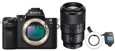 Alpha A7MII + 90mm f/2.8 Macro + MF-R76SPLUS + 100EU CASHBACK SONY SUMMER