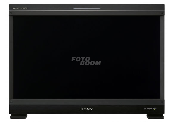 BVM-E250A Monitor