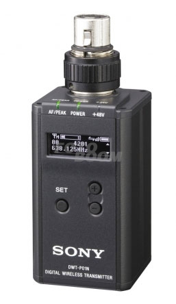 DWT-P01N/33