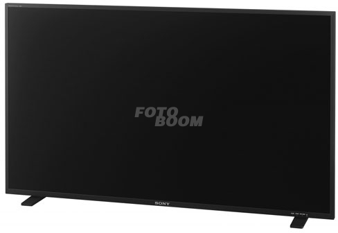 PVM-X550 Monitor