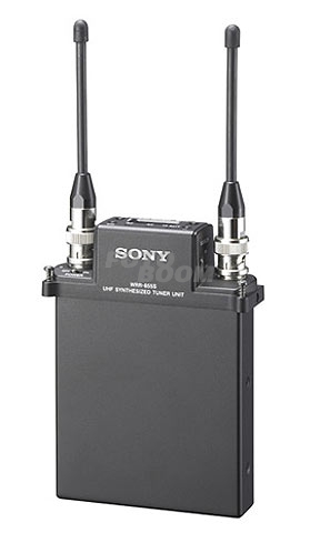 WRR-855S/K38 Receptor