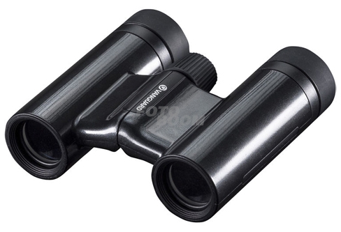 10x21 Vesta Black Pearl